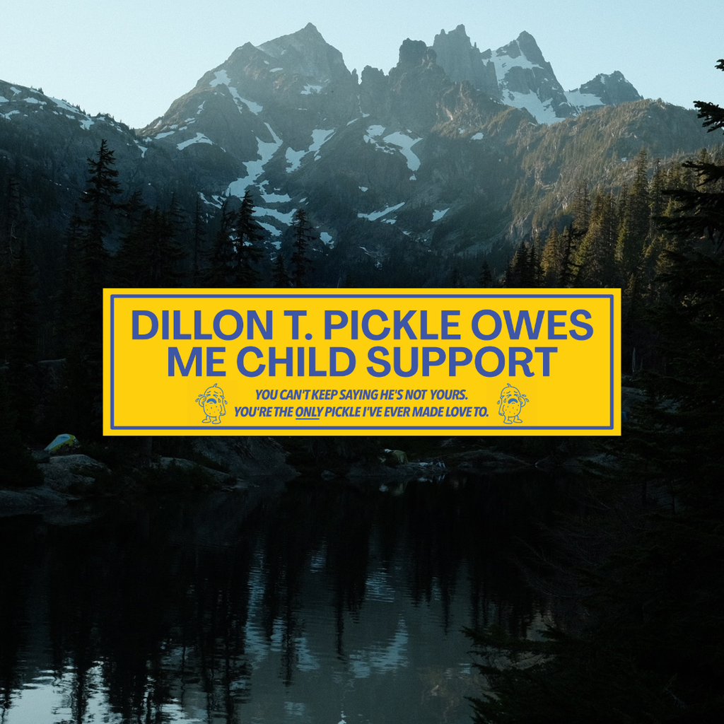Dillon T. Pickle Is Innocent Bumper Sticker